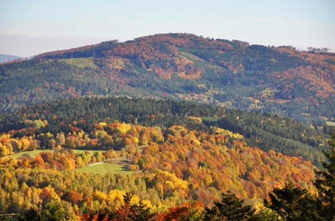 Bulový (953 m n. m.) a sousední Albertov hřebenem směřuje na sedlo Rohy a dál ke Kleti (Blanský les).