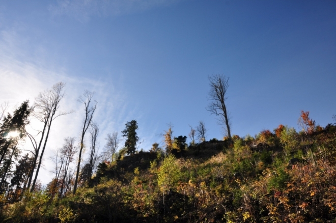 Nad hlavou máme vrchol Chlumku (1 025 m n. m.).