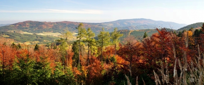 Cesta na Chlum nabízí daleké výhledy. Zde je Bulový, Albertov a Kleť (1 084 m n. m.).