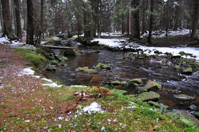 Losenice pramení asi 1,5 km severoseverozápadně od Přilby v nadmořské výšce 1 118 m n. m. Její tok tvoří od pramene až k soutoku s Otavou hranici Národního parku Šumava. Jde o jednu ze zlatonosných řek a v minulosti se zde zlato dobývalo. Důkazem jsou sejpy, které v okolí říčky můžete spatřit.