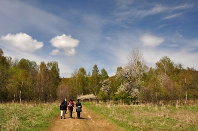 Ovocné stromy ještě stále oživují krajinu zbavenou lidí.