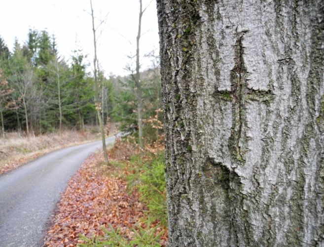 Křížková cesta nad Dunovicemi dost rychle nabírá výšku. Objevují se první výhledy.