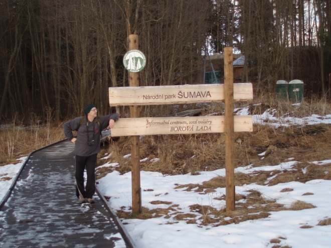 Soví voliéry jsou další atrakcí, schopnou přitáhnout davy.