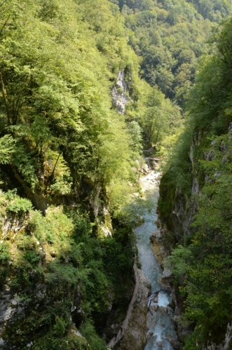 Tolminka z mostu (po proudu)
