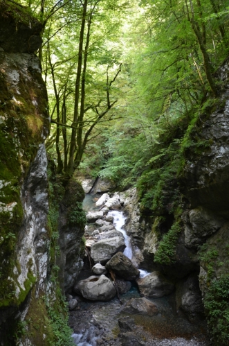 Zadlaščica a její soutěska