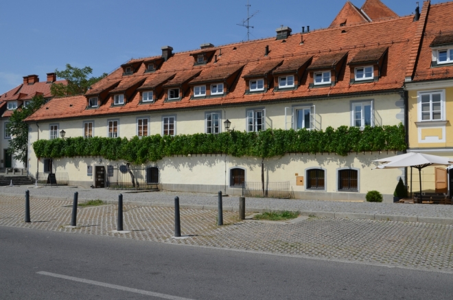 Asi nejoriginálnější historickou památkou Mariboru je Stara trta („Stará réva“), nejstarší známý živý kus vinné révy na světě.