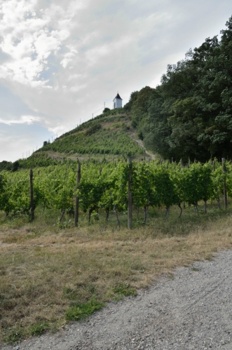 Na Piramidě je naplno cítit vinařská duše Mariboru, vinice pokrývají celý jižní svah. S barvami fotek si většinou moc nehraju, zde by ale jinak nebyla vidět mohutná oblačnost. K tomu začíná vát více než čerstvý vítr, asi se na nás žene nějaká bouře.