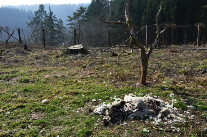 Křivice - děsivé místo, které značka naučné stezky měla minout.