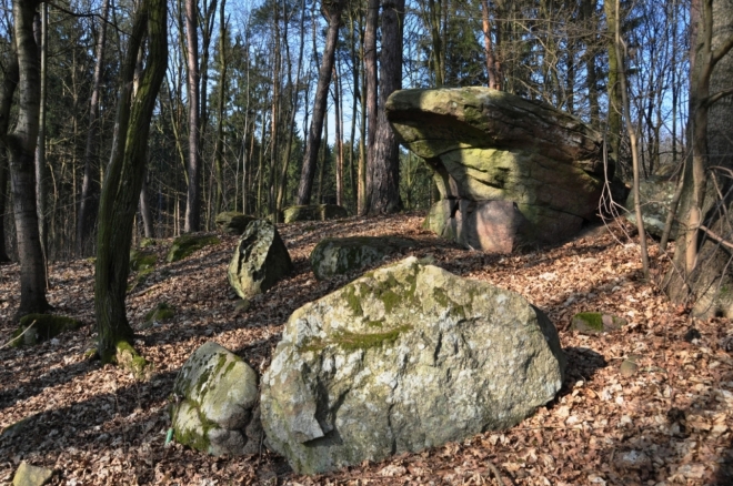 Skalky nad rybníkem (Čečeřín).