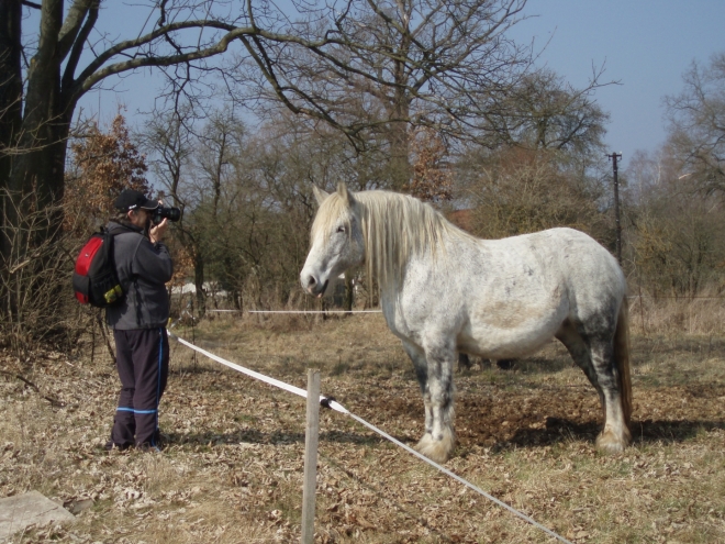 Hlavou mi zní melodie Heavy Horses od Jethro Tull.