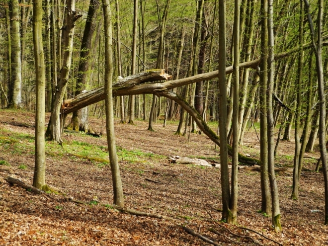 Část stezky vede vysoko nad řekou a míjí několik strží padajících rychle až k vodě.