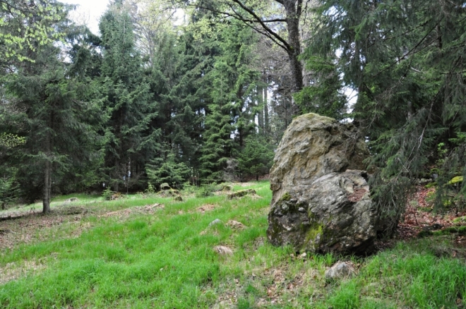 Před Sulzbergem (1 146 m n. m.).