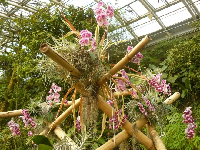 Bambusová konstrukce se zavěšenými orchidejemi