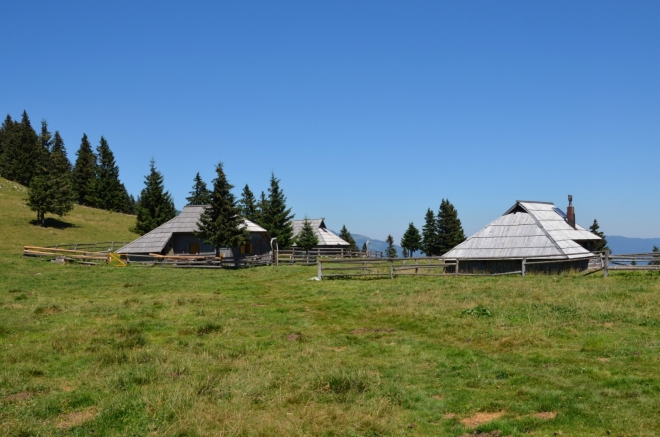 Velika Planina je v létě jedna velká pastvina (tak zní i český překlad názvu), ideální prostředí pro milovníky skotu. Zde narážíme na první z několika místních pasteveckých osad, vybudovaných takřka výhradně ze dřeva.