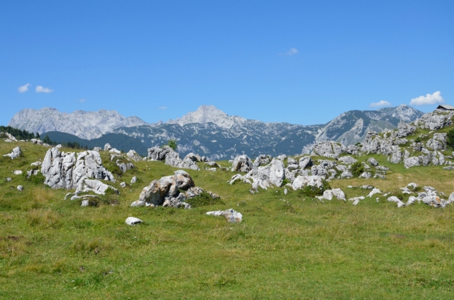 Poblíž hlavní osady hojně vystupuje na povrch místní vápenec, který je pro Kamnicko-Savinjské Alpy stejně typický jako pro Julské.