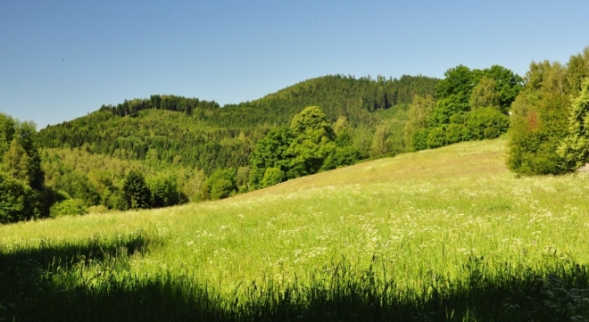 Nad Černou.