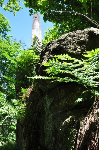 Kohout (871 m n. m.) je kompletně zalesněný. Je škoda, že když už ho hyzdí stožár operátorů, není zde rozhledová plošina. Trochu by otupila tupost těch, co rozhodli o této stavbě, která je přímo mezi dvěmi vrcholovými skalami.