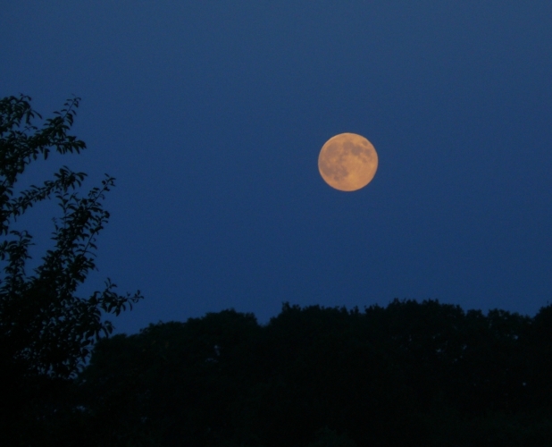 Z kempu je krásný výhled na měsíc v úplňku 