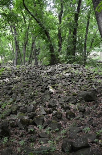 Pod vrcholem potkáváme rozsáhlé plochy zasypané kameny. Uvažuji, jestli už toto nejsou zbytky místního hradu, ale ty by zřejmě nepokryly tak velkou oblast.