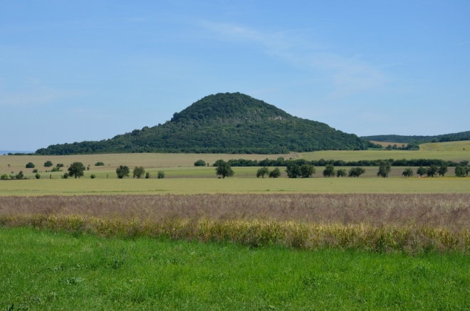 Vrch Boreč (449 m) z cesty do Března
