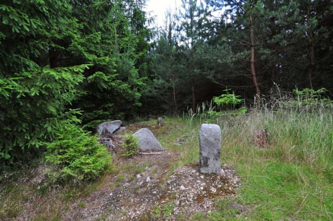 Šibeník je celý pokrytý lesem, jen zde se otevírá nižším porostem marný výhled nikam. Patník není vrcholovým bodem, ale dalším z historických mezníků Čech a Moravy. Dnes je tato hranice setřena podivným a umělým krajským celkem Vysočina.