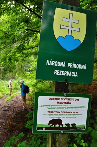 Varování je jestě namístě. Ve Velké Fatře nyní žije okolo šesti desítek medvědů a hory jsou jejich domovem. Návštěvníci a vetřelci jsme my, lidé.