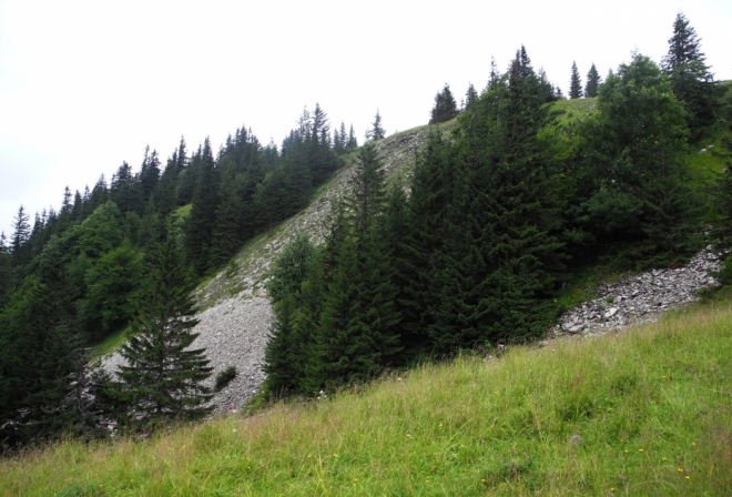 Kamenné moře pod Štrochy skrývá i propast, kterou zobrazuje mapka. Hledat ji však nehodláme. Radši při sestupu pískáme, Leny zpívá slovenské popěvky, a snažíme se všelijak hlučet a zasrašit medvědy. 