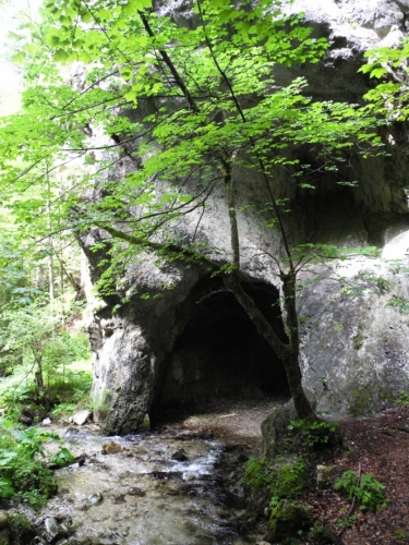 Kolem voda vymlela spoustu pseudojeskyněk.