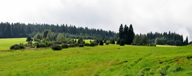 Louky u Lipové se rozkládají pod Kraví horou (930 m n. m.).