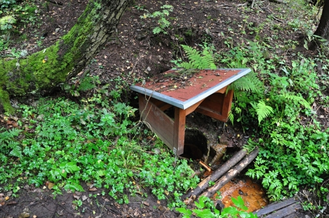 Srnčí pramen je ukryt pod Srnčím hřbetem. Vede k němu odbočka z cyklotrasy.