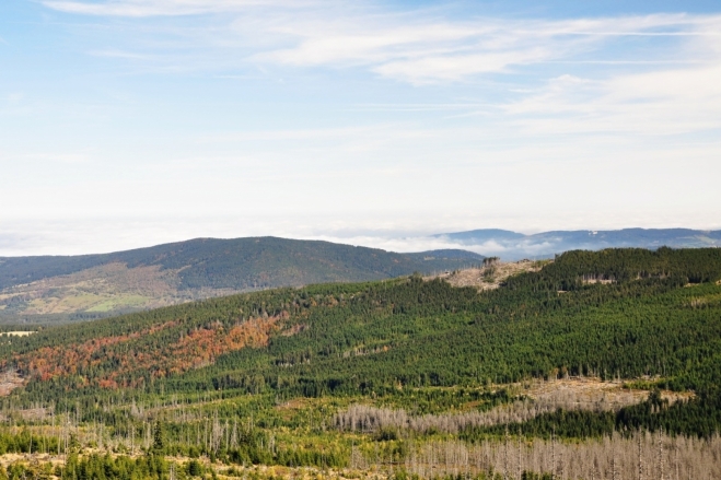 Vzadu vystupuje hřeben Křemelné (1 125 m n. m.).