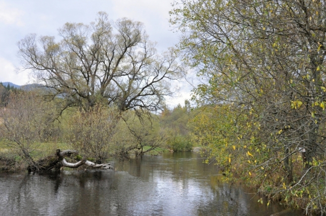 Teplá Vltava u Houžné na svém břehu skrývá malý kemp. Zdatní vodáci odsud sjíždí řeku k Soumarskému Mostu a Pěkné.