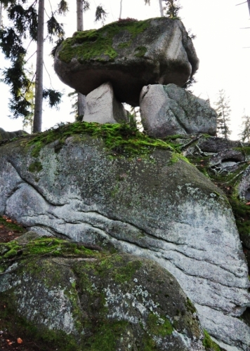 Hřib.