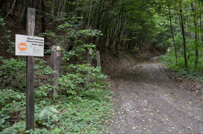 První cyklisty na žluté cyklostezce potkáváme až v momentě, kdy ji po dvou kilometrech opouštíme. Jak vidíte, není žádný problém s tím, aby odbočka ze žluté byla rovněž žlutá, zvlášť když v oficiální mapě žádnou barvu nemá.