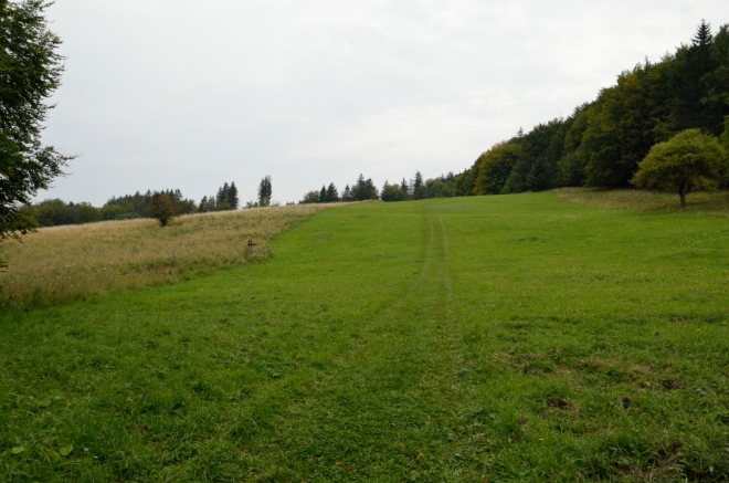 Tady vypadá louka pod Bálváněm schůdněji.