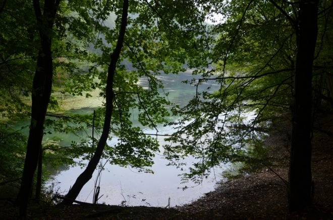 Hned opodál prosvítá mezi stromy menší jezero. Nejsem si jistý, jestli leželo na potoce, ale zřejmě ano.