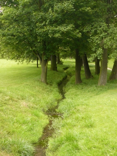 Ctěnický potok protékající zámeckým parkem pramení nedaleko