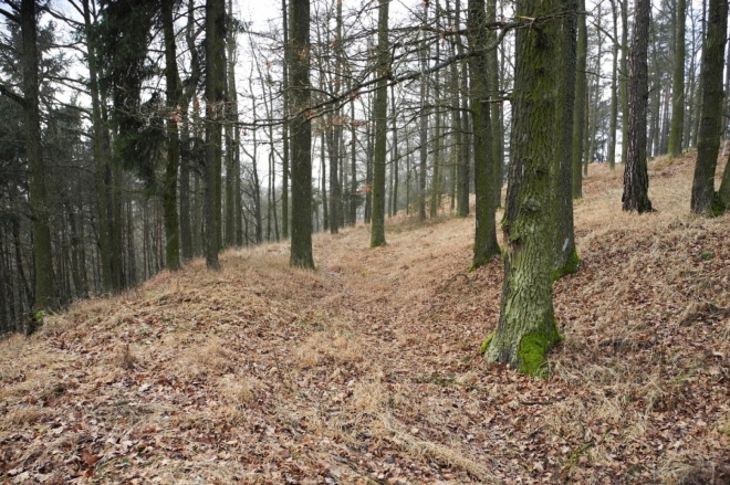 Valy slovanského hradiště Hradec jsou dobře patrné a vedou ve dvou řadách kolem celého vrcholu.