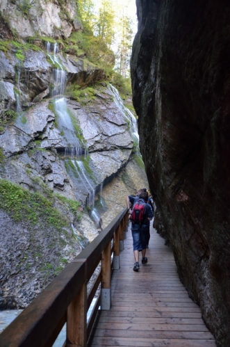 Soutěska má na délku kolem 200 metrů a vymletá je převážně v tzv. dachsteinském vápenci. Vzduch je zde příjemně nasycen vlhkostí a po skalách na východní straně stékají desítky drobných vodopádů.