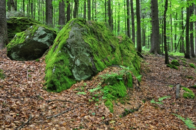 Kratší výstup na Waldhäuserriegel zdobí mnoho mohutných balvanů a skalek. Stejně tak i další cestu přes kopec.