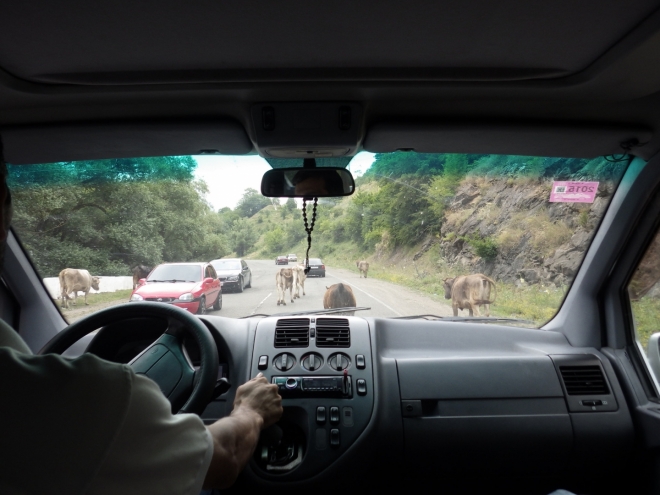 Jedna momentka z arménských silnic. Ne že by zvířata byla úplně všude.