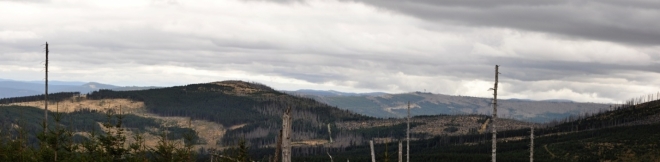 Panorama.
