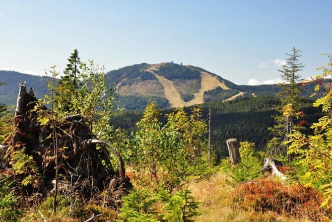 Velký Javor (1 456 m n. m.) budeme mít na očích až na Ostrý.