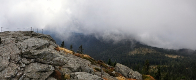 Panorama