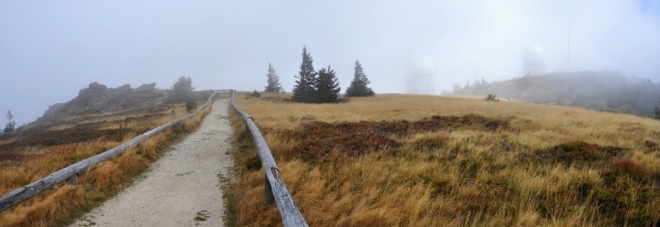 Panorama