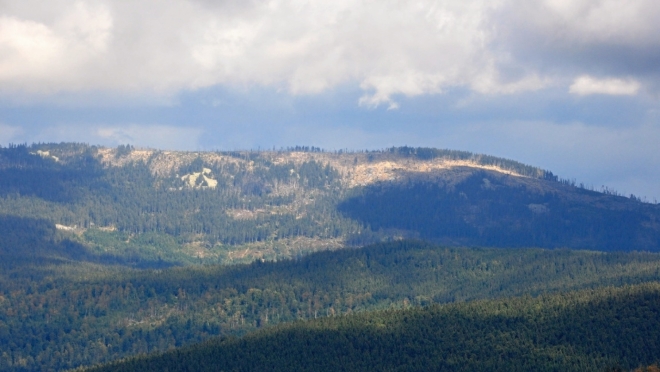 Královský hvozd.