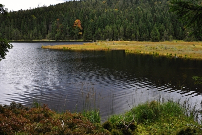 Malé Javorské jezero (Kleiner Arbersee) je velmi fotogenické. Po dvou letech se k němu vracím téměř ve stejném období. 