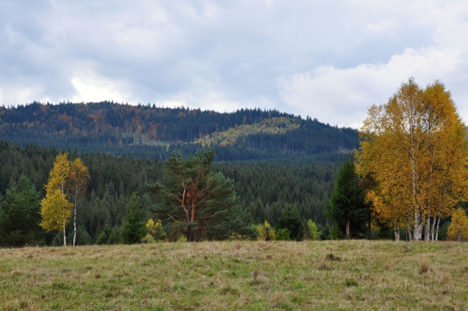 Hůrecký vrch (1 099 m n. m.) od Slučího tahu.