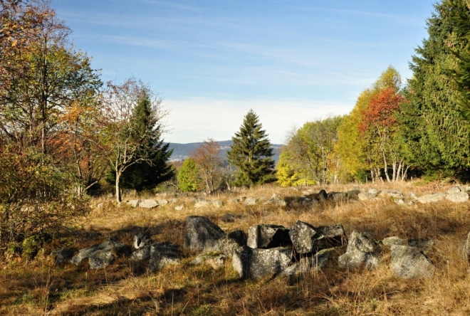 Pastviny u bývalé obce Radvanovice dnes zarůstají. Co zůstává jsou kamenné valy směřující od cesty k vrcholu Radvanovického hřbetu.