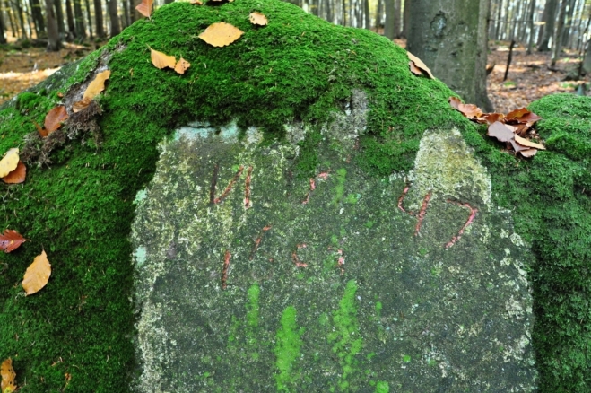 Přírodní pomníček z roku 1947?